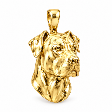 Dogo Argentino high-polish yellow gold dog pendant, design render on white; pendant only.