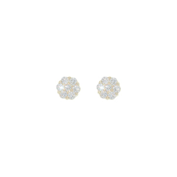 Diamond Earring's